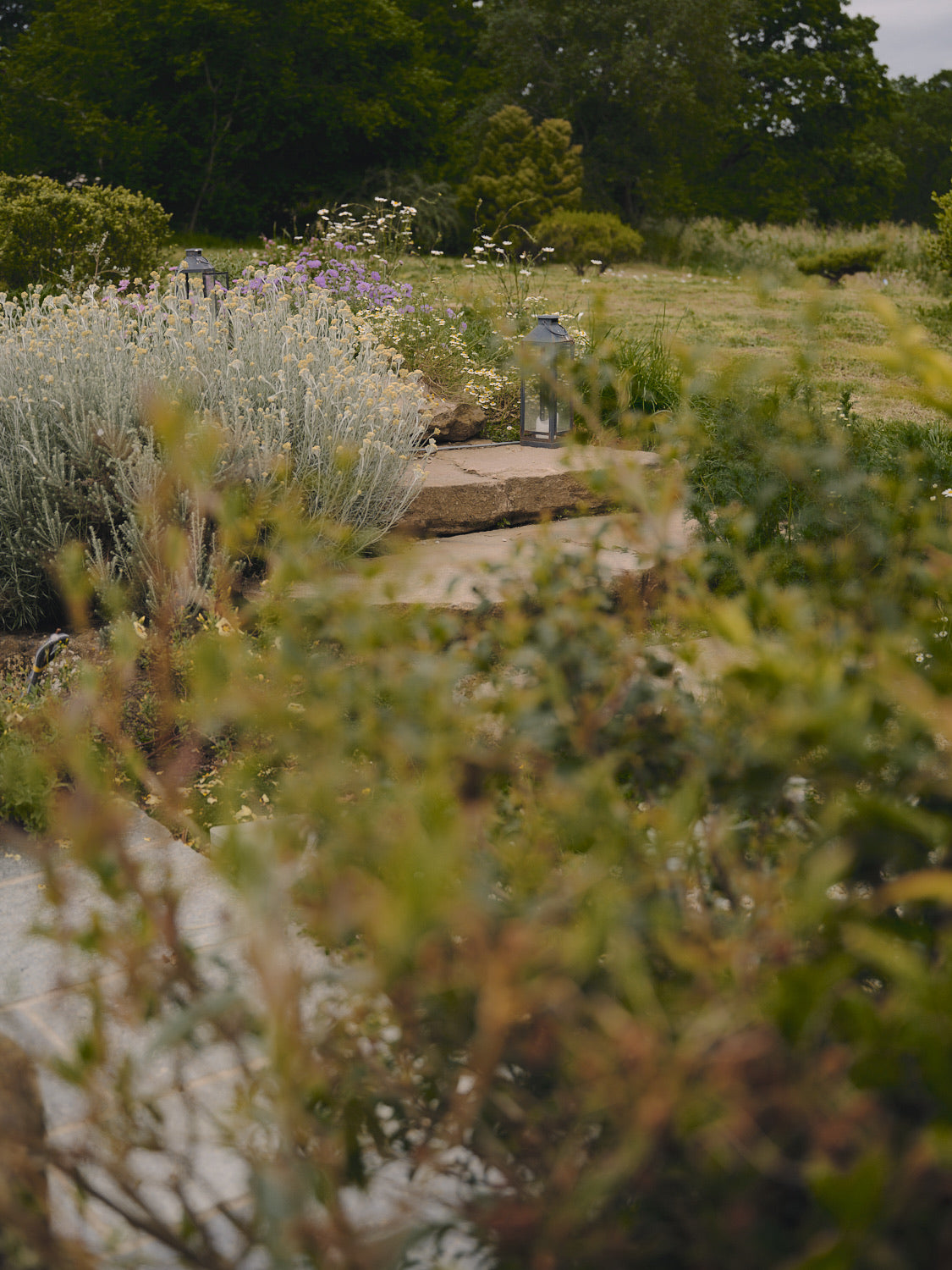 Vue depuis la terrasse sur le jardin de l'Arbre qui marche