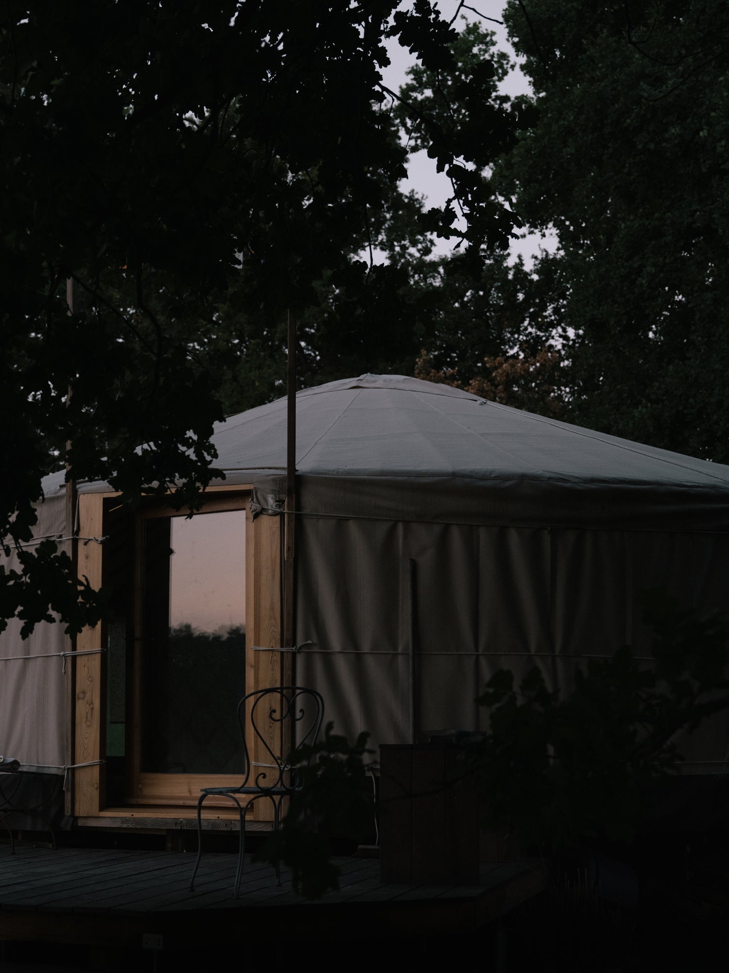 La yourte de l'Arbre qui marche au milieu des arbres - Photo Nomades