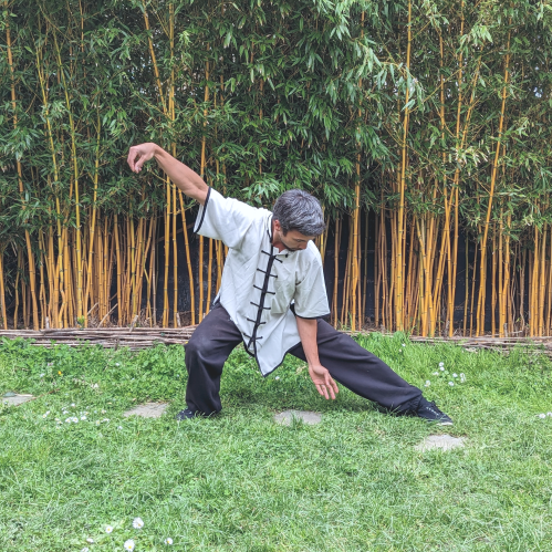 Alexis Gauyat, Huizhong, Qi gong et Tai chi