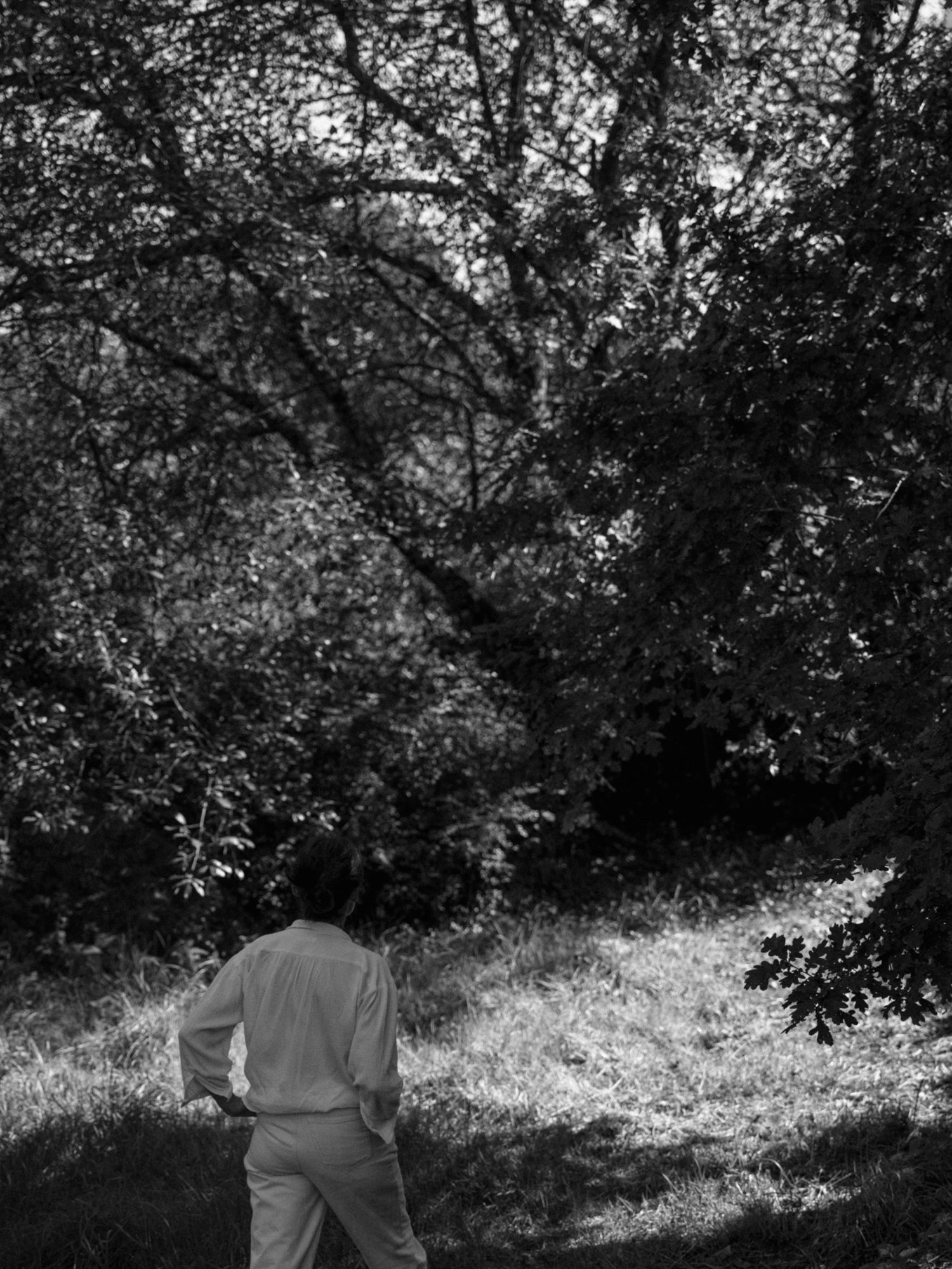 Gwenn Libouban à la rencontre des chênes séculaires de l'Arbre qui marche - Photo Nomades