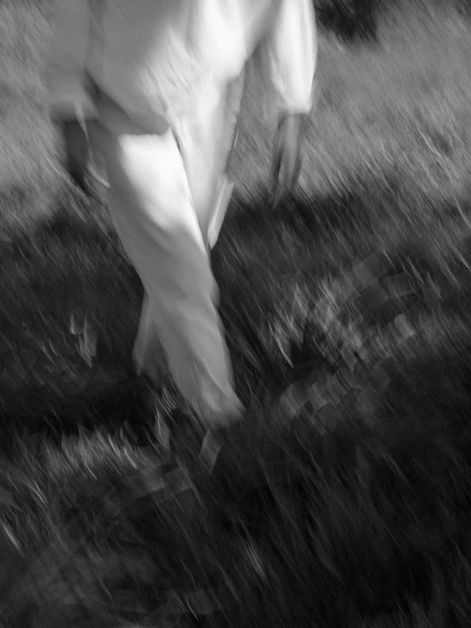 L'Arbre qui marche, un lieu pour se remettre en mouvement vers soi - Photo Nomades