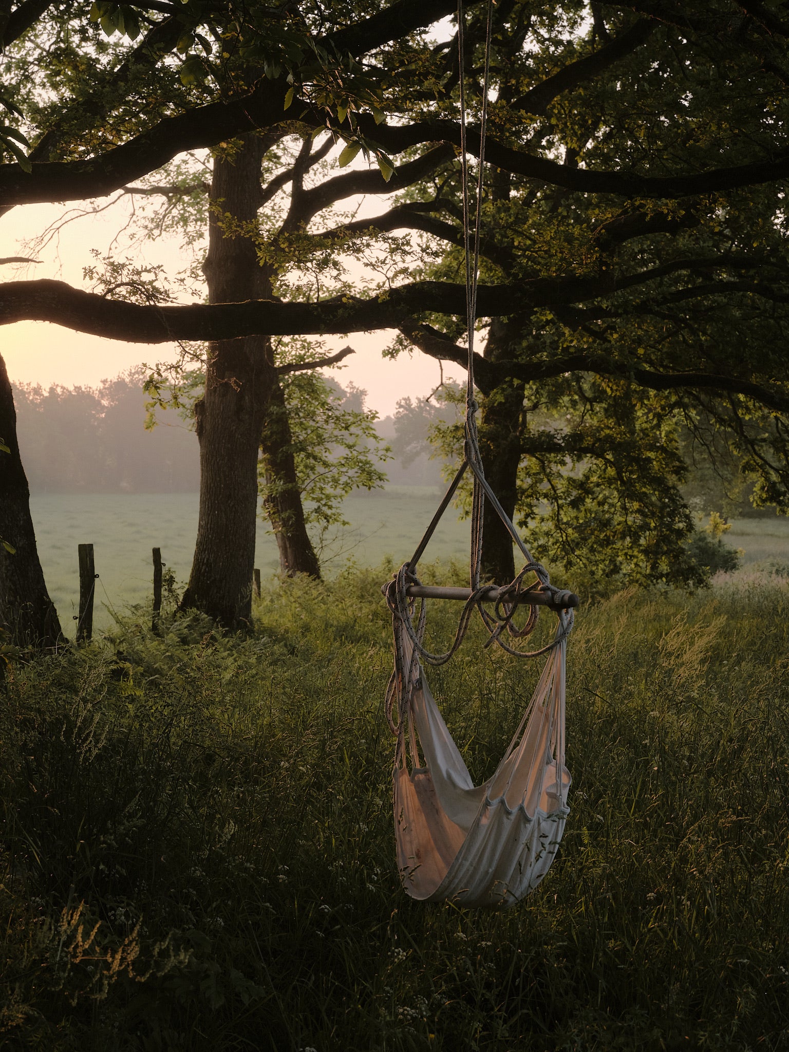 Hamac du jardin de l'Arbre qui marche au lever du soleil en Bretagne romantique
