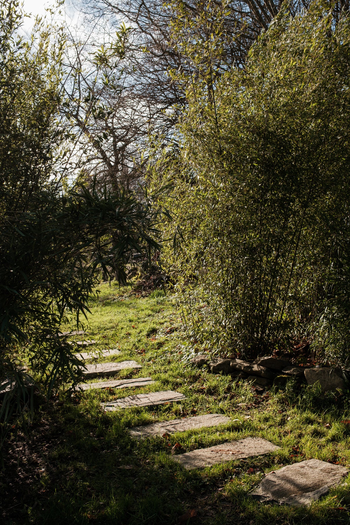 Pas japonais dessinant l'un des chemins du jardin de L'Arbre qui marche, au milieu des arbres et sous le soleil. Photo : Antoine Sorel.