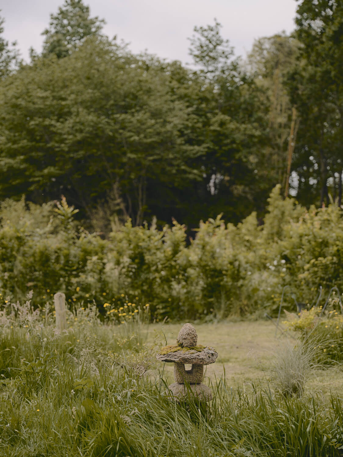 Jardin paysagé de l'Arbre qui marche, maison de soin en Bretagne