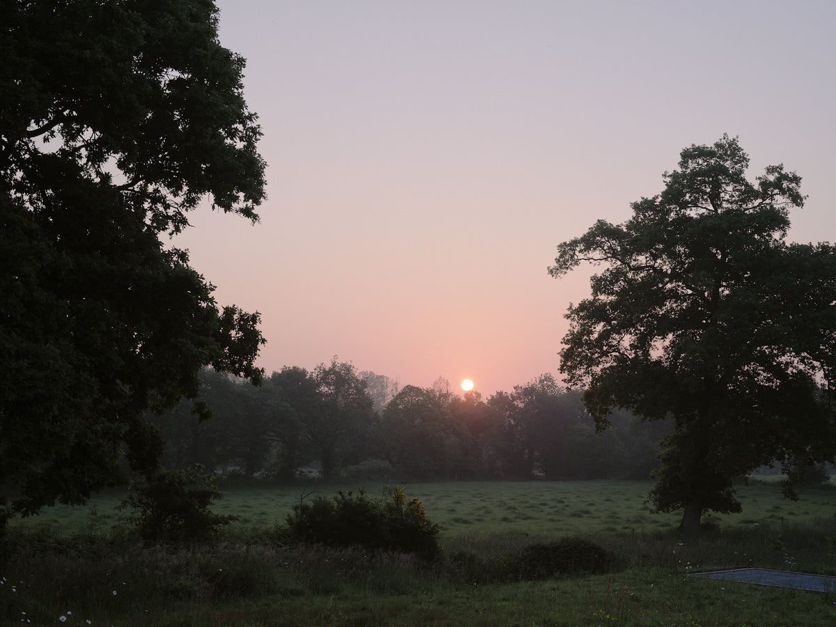 Lever de soleil sur le jardin de l'Arbre qui marche