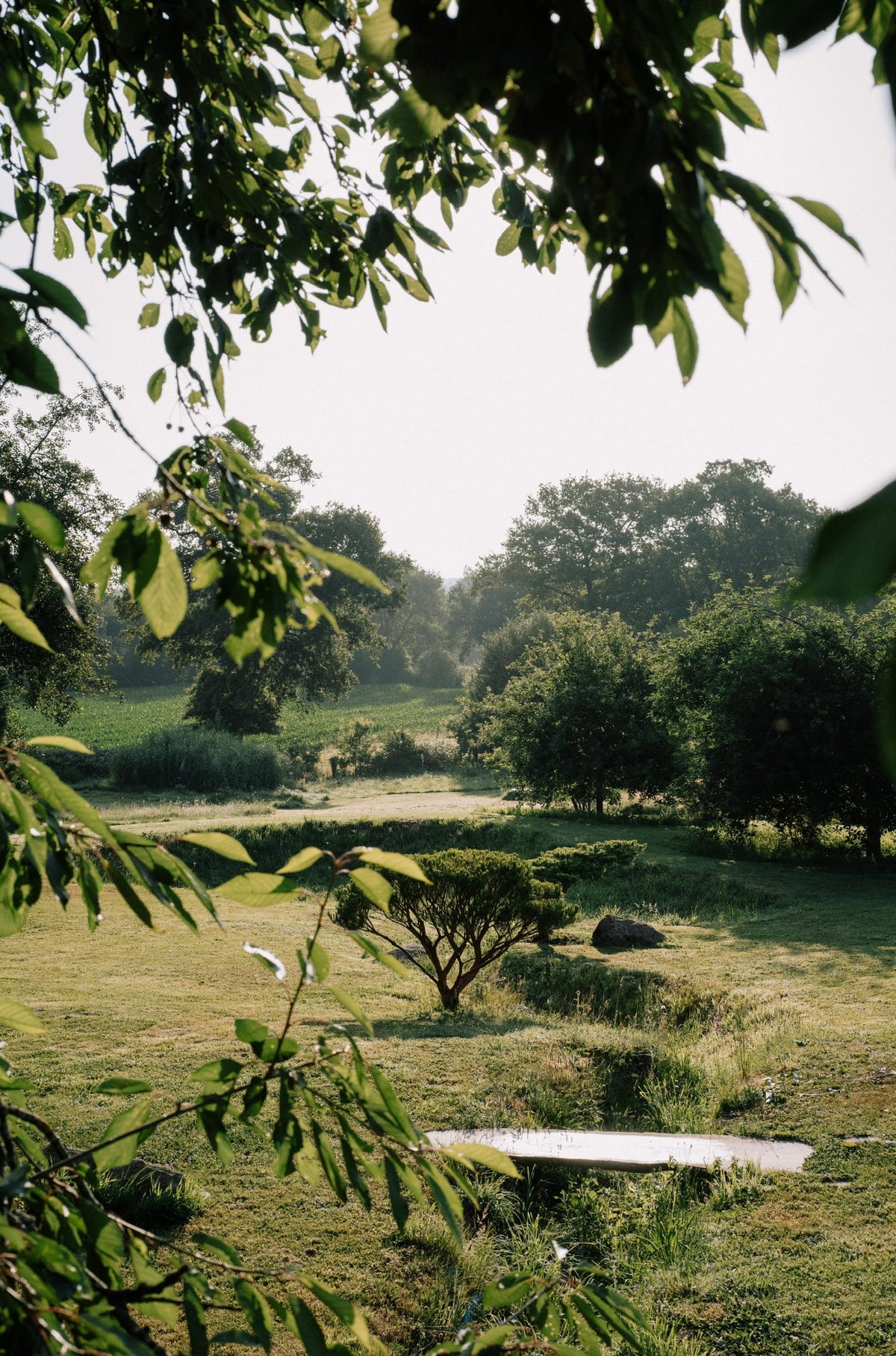 Vue sur le ruisseau du jardin de L'Arbre qui marche, maison de soin en Bretagne. Photo : Antoine Sorel
