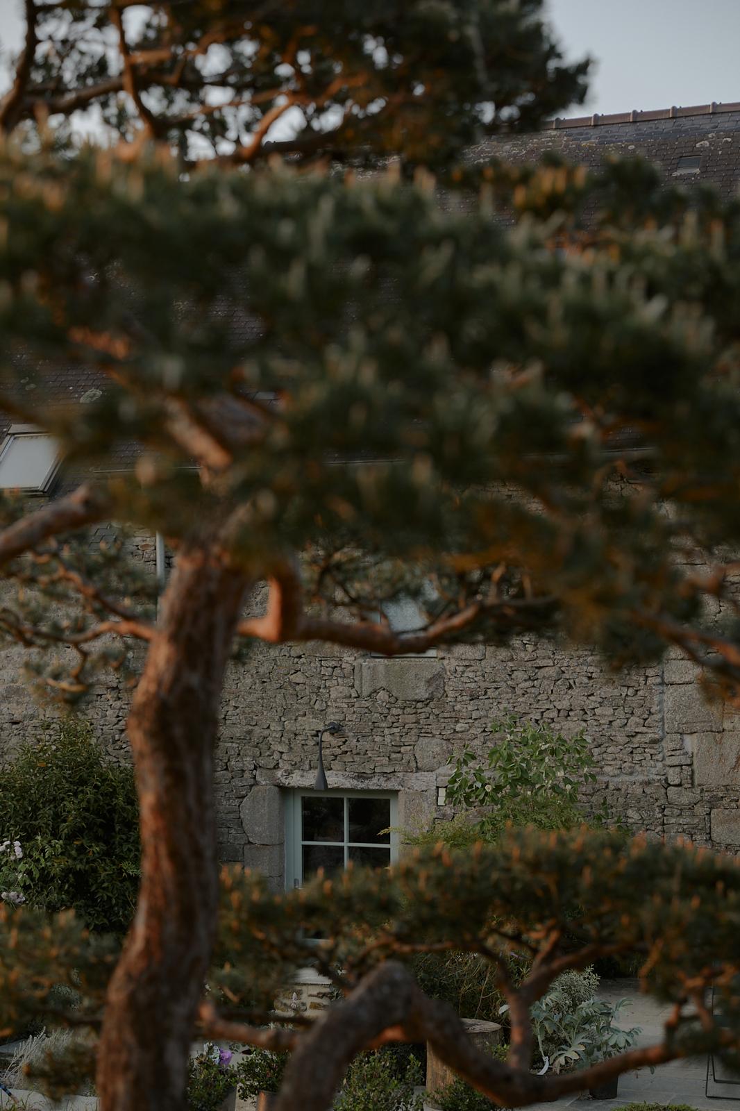 Façade arrière de la longère du 16ème siècle de l'Abre qui marche et les magnifiques arbres de son jardin paysagé