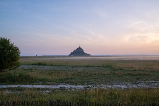 Vue sur le Mont Saint-Michel au lever du jour, depuis la terre ferme. Photo Nathalie Baetens